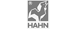 HAHN的LOGO